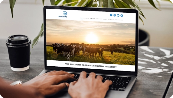 Professional WordPress Developers Professional WordPress Developers